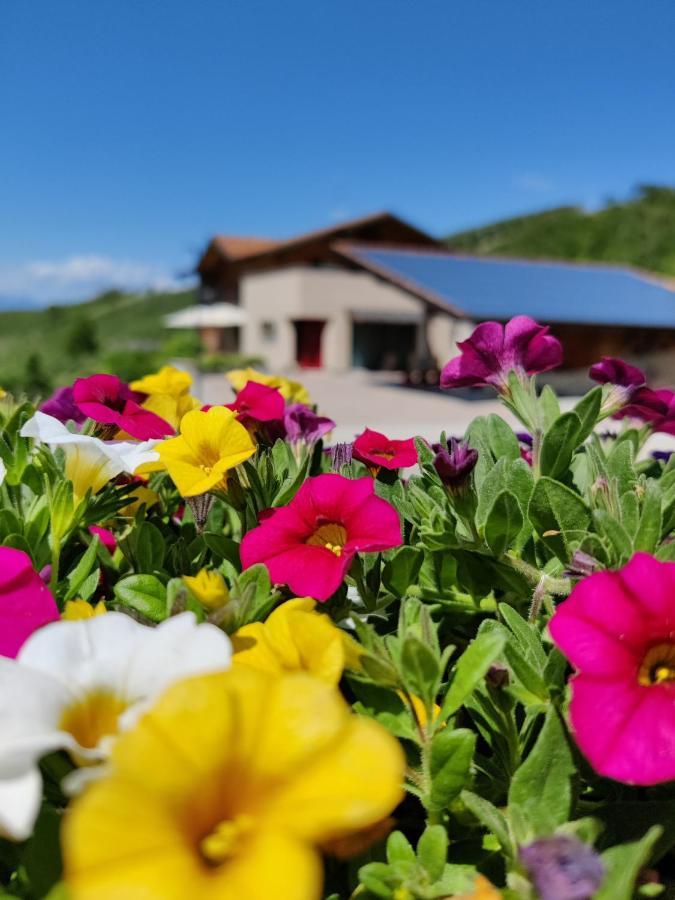 Bio Agritur Al Bait Villa Spormaggiore Eksteriør bilde